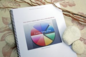 The Living Stress FreeÂ® Wellness Program ebook+Paperback Combo