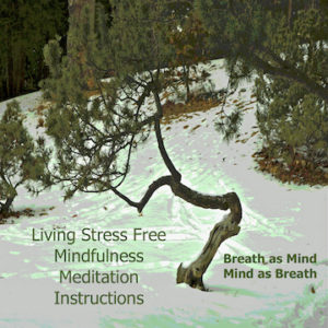 Breath as Mind - Mind as Breath