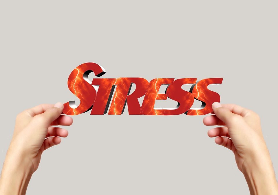 Got Stress? We Can Help